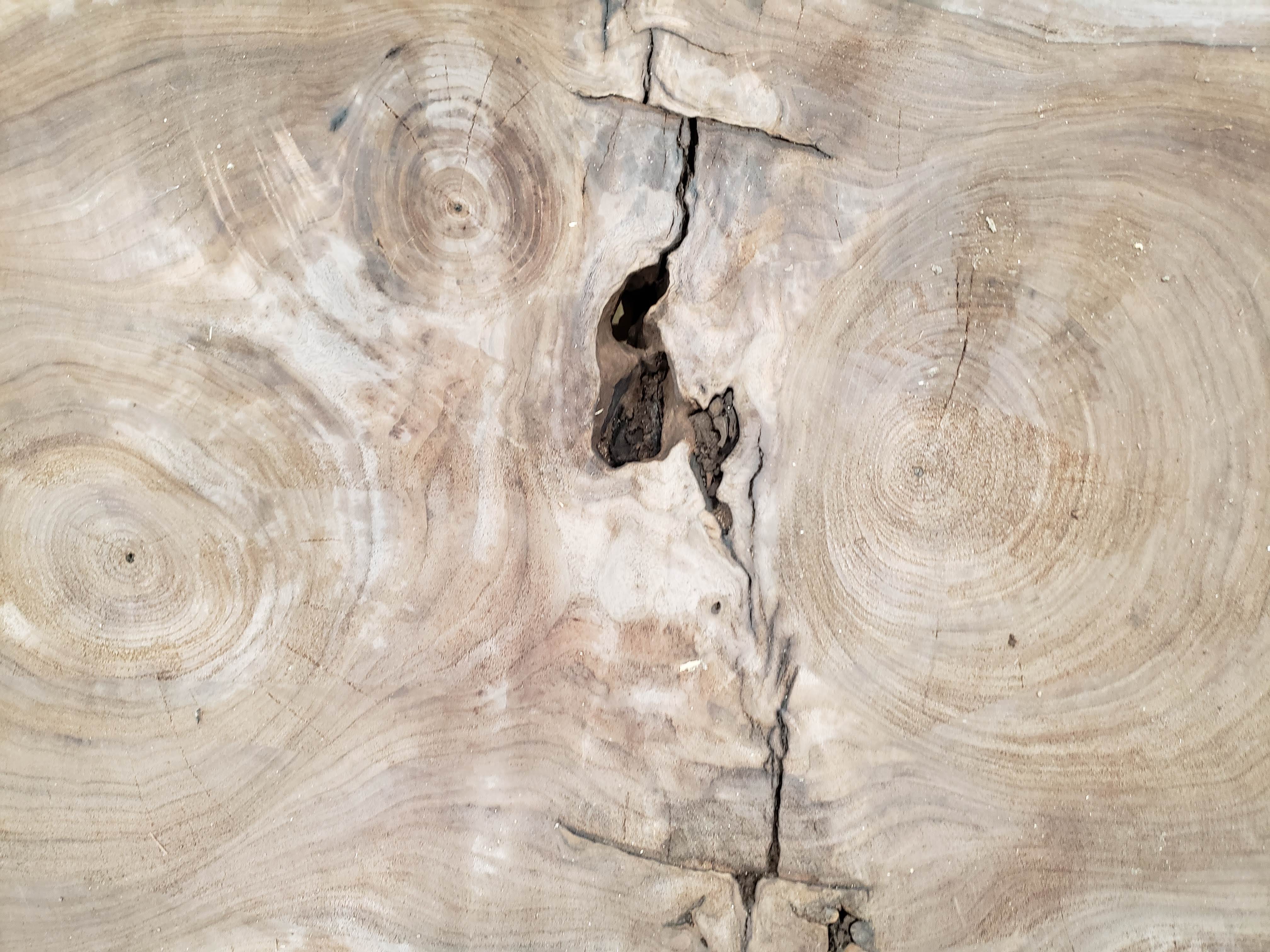 BLACK WALNUT Oval Cross-Section 12 | Wallace Sawmill, LLC