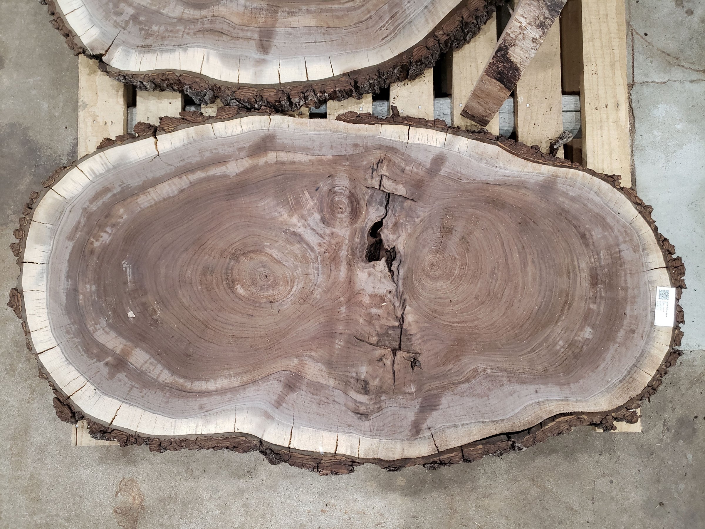 BLACK WALNUT Oval Cross-Section 12 | Wallace Sawmill, LLC